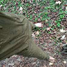 shinyslick_1999: Exploring a muddy estuary