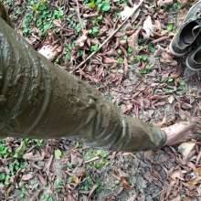 shinyslick_1999: Exploring a muddy estuary