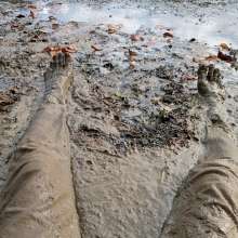 shinyslick_1999: Exploring a muddy estuary