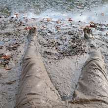 shinyslick_1999: Exploring a muddy estuary