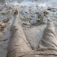 shinyslick_1999: Exploring a muddy estuary