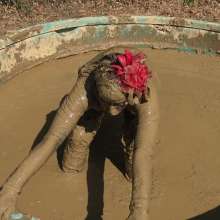 Jayce: The Most Glamorous-Over the Top-Muddy Humiliation from Brat, Jayce!