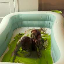 Slime Genesis: Kayden Plays with Herself in All Kinds of Mess