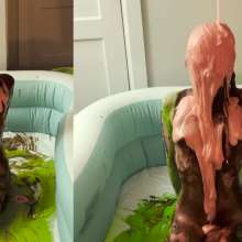 Slime Genesis: Kayden Plays with Herself in All Kinds of Mess