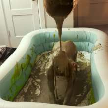 Slime Genesis: Kayden Plays with Herself in All Kinds of Mess