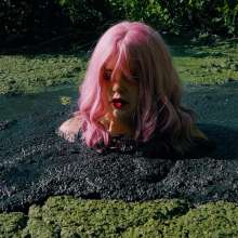 QS4Ever: Mary Orchid in Too Obvious Swamp