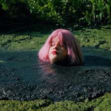 QS4Ever: Mary Orchid in Too Obvious Swamp
