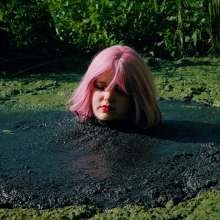 QS4Ever: Mary Orchid in Too Obvious Swamp