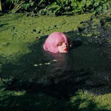QS4Ever: Mary Orchid in Too Obvious Swamp