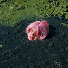 QS4Ever: Mary Orchid in Too Obvious Swamp