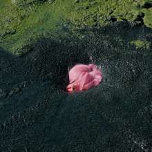 QS4Ever: Mary Orchid in Too Obvious Swamp