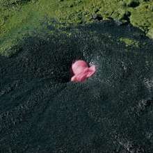 QS4Ever: Mary Orchid in Too Obvious Swamp