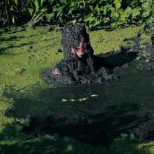 QS4Ever: Mary Orchid in Too Obvious Swamp