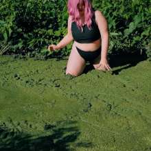 QS4Ever: Mary Orchid in Too Obvious Swamp
