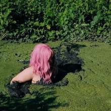 QS4Ever: Mary Orchid in Too Obvious Swamp