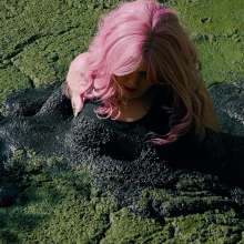 QS4Ever: Mary Orchid in Too Obvious Swamp