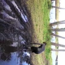 MudStud1357: MudStud Likes to Play In Mud