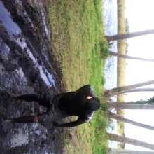 MudStud1357: MudStud Likes to Play In Mud
