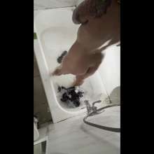 ms-pie-oneer: Pie-oneer Soap Gunge
