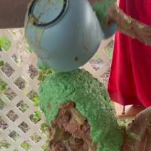 Splat Network: Savannah's Messy Yoga