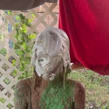 Splat Network: Savannah's Messy Yoga