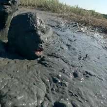 TannerQS: Tanner X Muddylynx Bottomless Tidal Mud