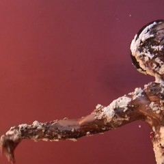 Pure Paint: Messy videos: chocolate, fake blood, water&mud