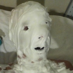 GungeMonkey: First POV Shaving Cream Video +Free Vid