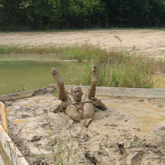 RyuuWammer: Video: Its a Muddy Life for Me