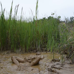 RyuuWammer: Video: Mud Fun in the rain