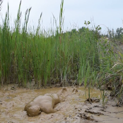 RyuuWammer: Video: Mud Fun in the rain