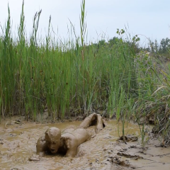 RyuuWammer: Video: Mud Fun in the rain
