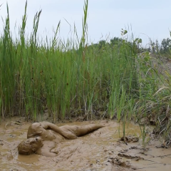 RyuuWammer: Video: Mud Fun in the rain