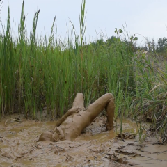 RyuuWammer: Video: Mud Fun in the rain