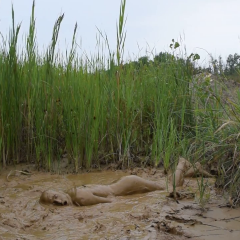 RyuuWammer: Video: Mud Fun in the rain
