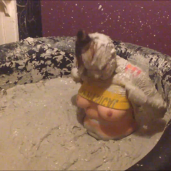 CandyCustard: Mypierogative gets off on the mud in my heated mud pool
