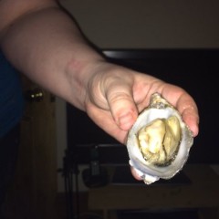 CandyCustard: Candy and MyPierogative, #mariafest the final update