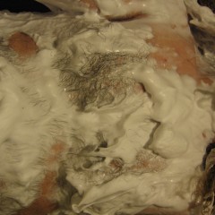 rodion7: shaving cream pictures