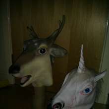 wampony: 