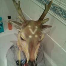 wampony: 