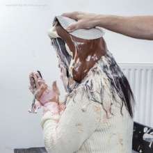 WAM Photography: WAM Photography--Bea calls for a pie