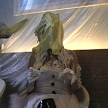 Dominic: Bad Dolly Pied