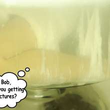 Bobographer: new idea--Emi as a messy comic strip