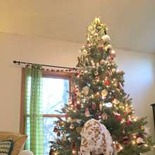 mrsbee: A little Christmas Cheer for you!