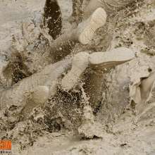 FOXY: playing in mud