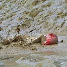 FOXY: Debbie's head in the mud