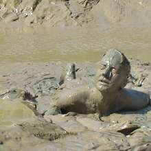 FOXY: Debbie's head in the mud