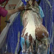 123gunge: Lisa hangin'  around!