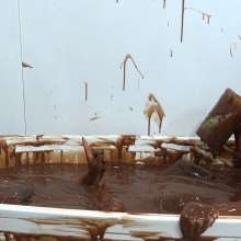 MostWam: Charlotte And Chloe Testing The Chocolate Bath