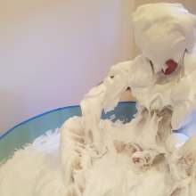 Submergedinfoam: White Christmas